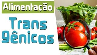 Alimentos Transgênicos | Biosfera