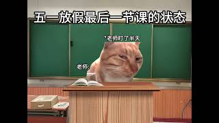 五一假期放假最后一节课的精神状态#内容过于真实 #精神状态belike#猫meme