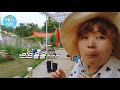 산책하듯 찾는 시골 먹거리~ 먹을 게 너무 많다 자급자족 자연 생활 country story of city couple ep.315