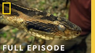 Jagged Jungle (Full Episode) | NEW SERIES | Primal Survivor: Over the Andes