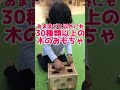 最強の無料遊び場！？道内最大のおままごとコーナー＊札幌の新名所＊サッポロさとらんど