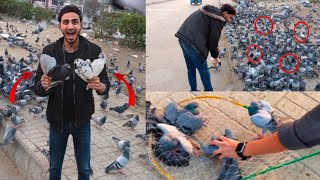 Road se sare Nayab kabootar pakda Liya 😉 How to check pigeon Waqar mini zoo