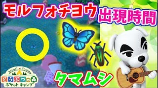 【ポケ森】超レア モルフォチョウとタマムシの出現時間 こはるの場合【スマホ版 どうぶつの森ポケットキャンプ実況】