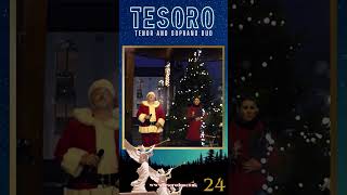 Tesoro Advent Calendar 24