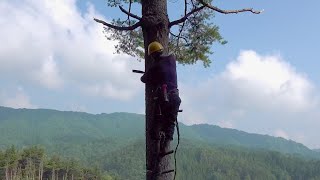 山と生きる「護り人」木樵(きこり)たちのドキュメンタリー映画『木樵（きこり）』予告編