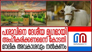 പശുവിനെ ദേശീയമൃഗമായി പ്രഖ്യാപിക്കണം I Cow- Alahabad HC