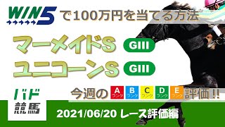 【WIN5 レース評価】 2021年6月20日（日）マーメイドS・ユニコーンS