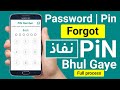 Nafath Pin Forgot | Nafath Password Forgot | Nafath Password Bhul Gaye Kya Kare | Nafath Pin Reset