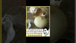 सभी लडकियों का बस एक ही सपना होता है लहसुन का छिलका पूरा एक साथ निकले #viral #funny #youtubeshort 😂😂