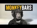 MonkeyBars Promo