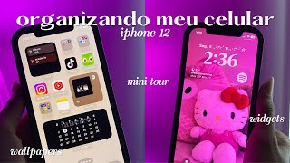 organizando meu celular 💅🏻 iphone 12 + mini tour