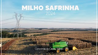 FINAL DA SAFRA DO MILHO NO OESTE DO PARANÁ