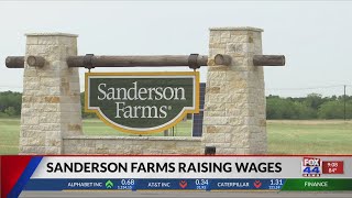 Poultry processor Sanderson Farms raising wages