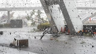 台風２１号　大阪など各地で猛威