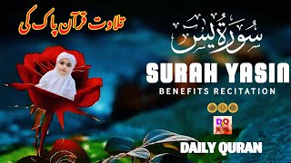 Most Beautiful Recitation of Surah Rahman سورة الرحمن | Relaxing Voice |@dailyquran19  31 May 2024