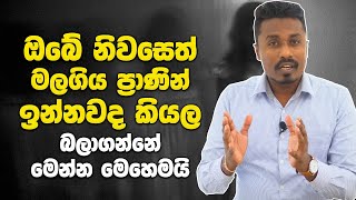 ඔබේ නිවසෙත් මලගිය ප්‍රාණින් ඉන්නවද කියල බලාගන්නේ මෙන්න මෙහෙම​යි