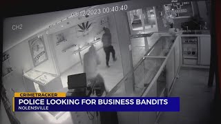 Police seeking thieves who broke into Nolensville CBD shop