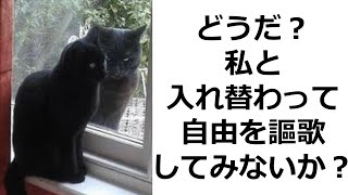 【ツッコミ】殿堂入りボケてにツッコミどころ満載だったwwww【ボケて】【まとめ21】