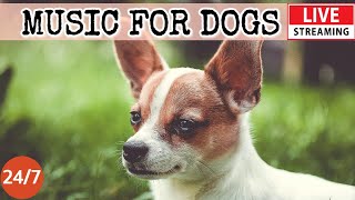 [LIVE] Dog Music🎵Relaxing Sleep Music for Dogs🐶🎵Separation anxiety relief💖Dog Calming Music🔴2-3