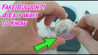 Fake Chinese Silver Panda in eBay Grab Bag? How to Tell