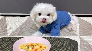 나만 먹을 수 없지 🍕 강아지용 피자 만들기 | Making pizza for dogs