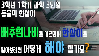 3학년 과학 1학기 3단원 3차시 [배추흰나비를 기르면서 한살이를 알아보려면 어떻게 해야 할까요?]