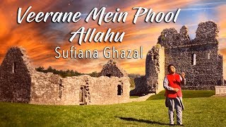 Veerane Mein Phool - Allahu | Tauseef Akhtar | Sufiana Ghazal | सूफ़ीयना  ग़ज़ल