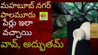 mahabubnagar palamoor palamuru district news tmixture videos:పాలమూర్ జిల్లా,మహబూబ్ నగర్ జిల్లా