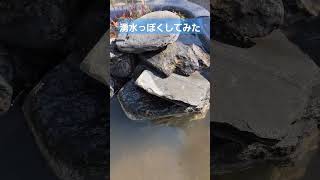 ビオトープに湧水