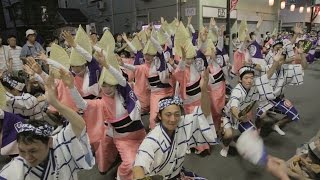 KITAMACHI-AWAODORI 2016 きたまち阿波おどり