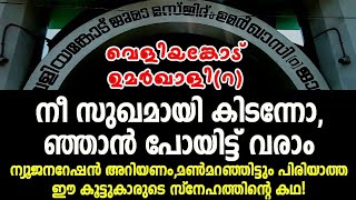 #ziyarat #സിയാറത്ത് #alziyarah വെളിയങ്കോട് ഉമർ ഖാളി(ഖ:സി)|Veliyangod Umar Qazi(Q)|Vlog#60