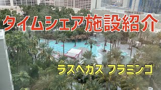 ラスベガス ヒルトングランドバケーション・アット・ザ・フラミンゴ (Hilton Grand Vacations at the Flamingo)の施設を紹介します！【タイムシェア施設紹介】