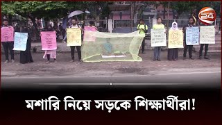 যে কারণে মশারী নিয়ে সড়কে শিক্ষার্থীরা | Rangpur | Channel 24