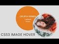 CSS3 Image Hover Effect with Text | Tutorial For Beginners