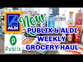 *NEW* PUBLIX GROCERY HAUL | ALDI GROCERY HAUL 2020 | INSTACART DELIVERY | PUBLIX LIQUOR DELIVERY