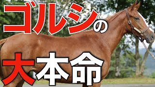 【ダービーへ】ゴールドシップ産駒の大本命はこの馬か！オークス馬ユーバーレーベンの全弟が来た。【一口馬主】