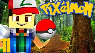 CAPTURE DE POKÉMON EN FORÊT ! | Pixelmon ! #11