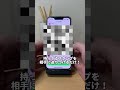 それ、ブロックされてるかもよ？ iphone便利機能 iphone便利術 iphone初心者 iphone小技