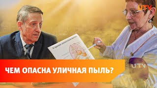 Почему уфимцы задыхаются в пыли? Отвечают жители, эколог и врач