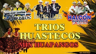 🔥Tríos Huastecos Huapangos 2022🎶Imperiales De La Sierra - Halcon Huasteco - Huapangueros Diferentes
