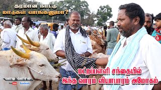 மட்றப்பள்ளி மாட்டு சந்தை இந்த வாரம் வியாபாரம் அமோகம் | தரமான நாட்டு மாடுகள் 15-08-2023