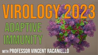 Virology Lectures 2023 #14: Adaptive immunity