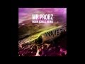 Mr  Probz - Waves (Robin Schulz Radio Edit)