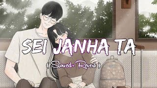 Sei Janha Ta Song (Slowed+Reverb ) Aswin & Sushree | Humane & Arpita | Santosh Swain | Puranesr