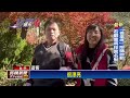 宛若冰雪奇緣！　武陵農場紫藤園超美「冰封世界」畫面曝光－民視新聞