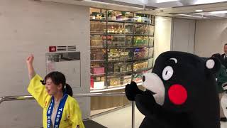 Kumamon くまモン登場 熊本県産トマトのPR強化プロジェクトin香港 2018-01-13 12pm