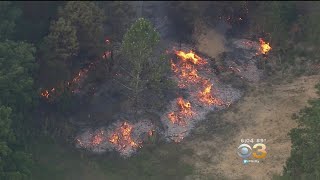 Fire Crews Continue To Battle Wharton State Forest Fire
