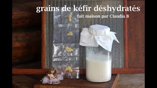 Réhydrater le kéfir,  réveiller vos grains de kéfir ( grains déshydratés)