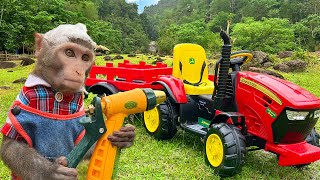 Smart Bim Bim goes Car Wash In The Garden | Summary Of Videos Of Baby Monkeys And Friends