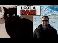 SINGING CAT x Spaul - I got a Rari Tiktok viral